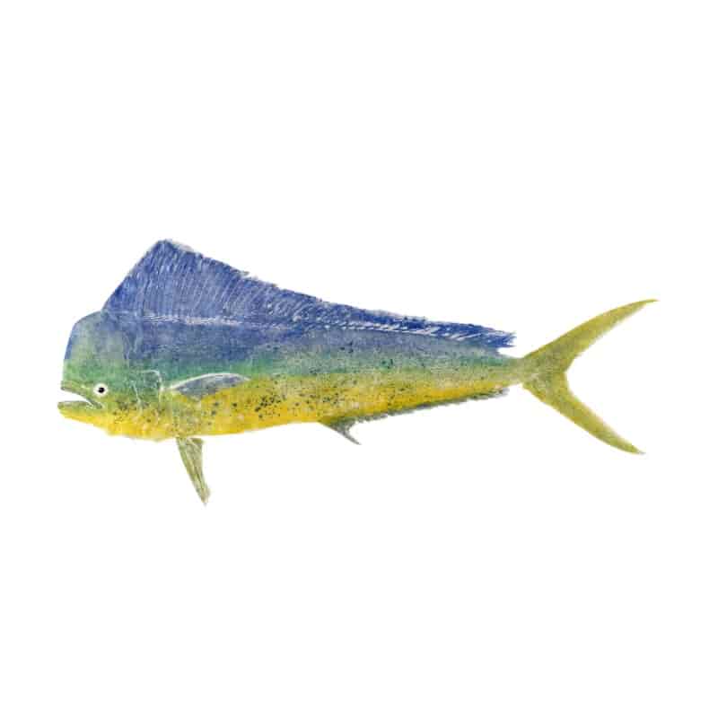 Product thumbnail 8