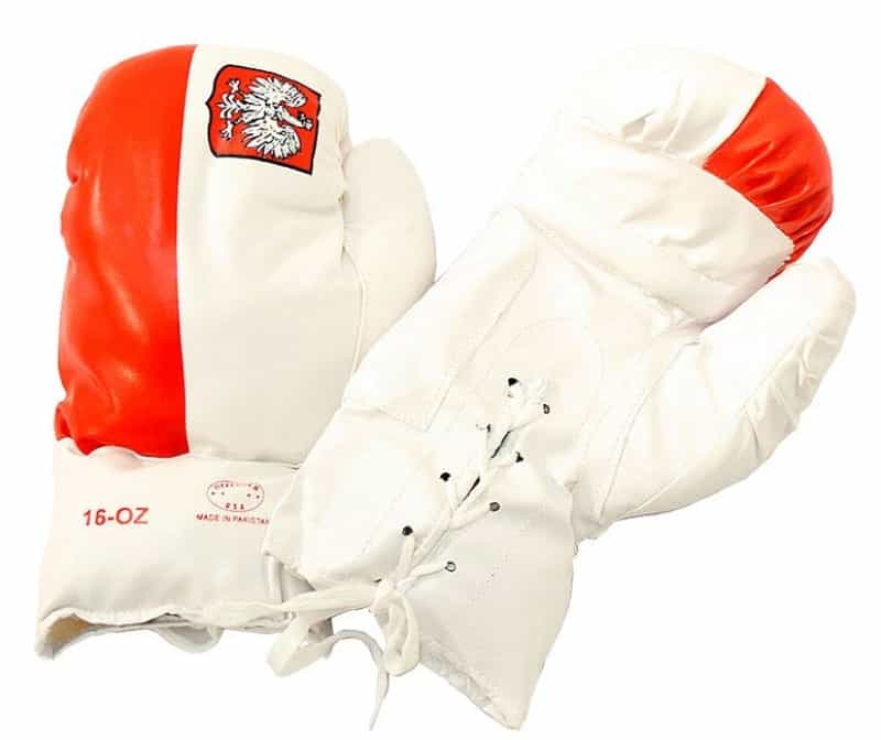 Polish 16 Oz. Boxing Gloves 1 Pair Vinyl Leather Glove Practice & Training
