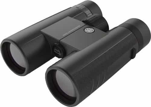 Sig Binocular 10X42 Buckmasters Roof Prism