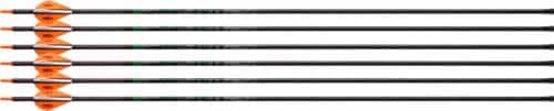 Victory Archery Rip Tko Gamer 400 Arrow Fletched 6Pk!