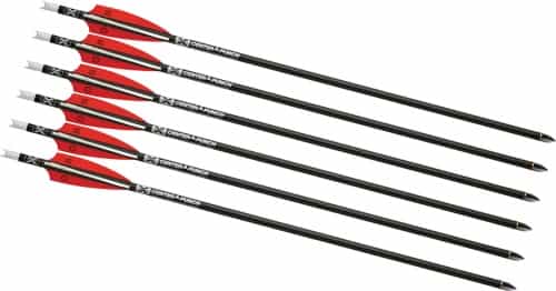 Tenpoint Xbow Arrow 16\" Evo-X Center Punch Alpha Nock Hp 6Pk
