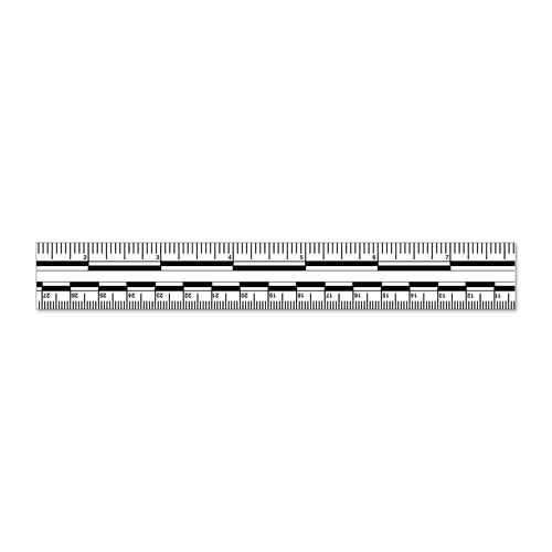 Continuous Photo Scale Roll