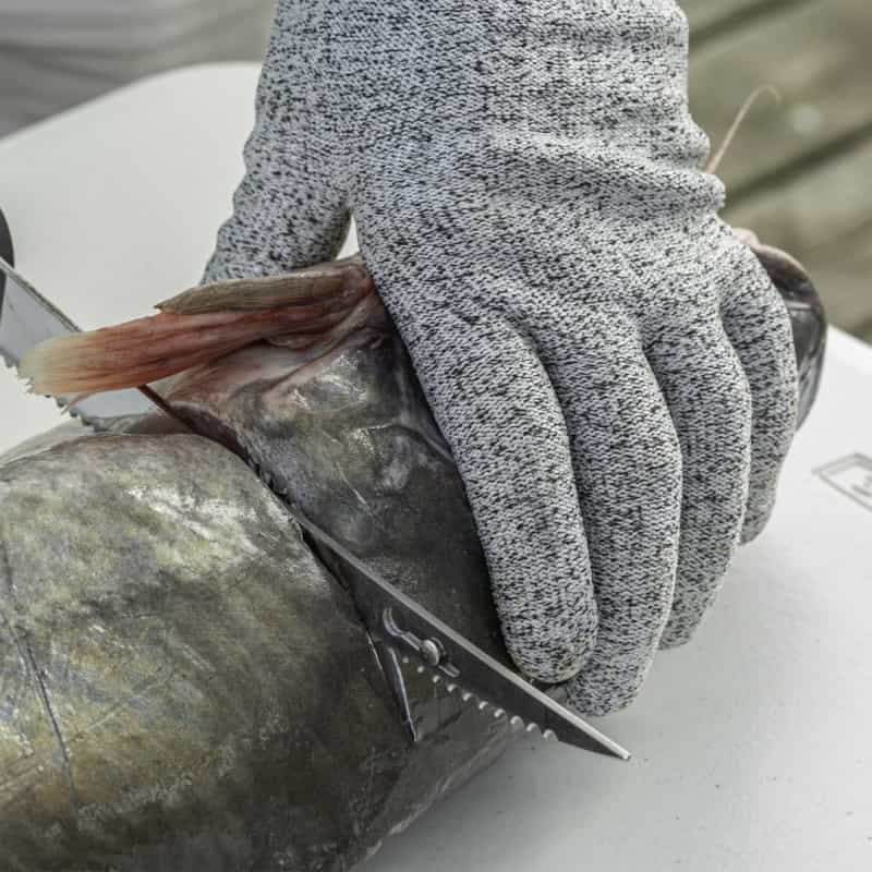 51266 Fillet Gloves