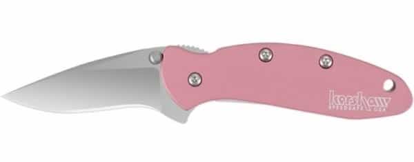 Kershaw 1600Pink - Chive- Pink