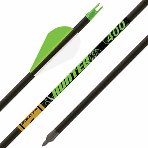 Gold Tip Arrow Hunter Xt 400 2\" Raptor Vanes 1\/2Doz